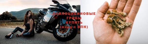 ПСИЛОЦИБИНОВЫЕ ГРИБЫ Алзамай