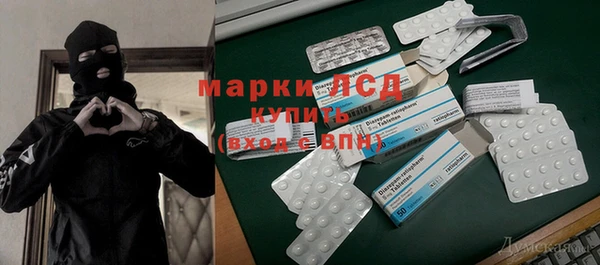 ПСИЛОЦИБИНОВЫЕ ГРИБЫ Алзамай