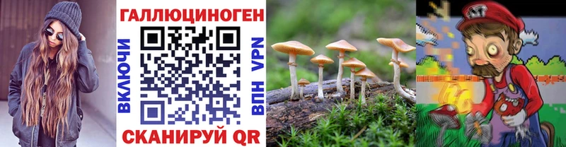 Псилоцибиновые грибы GOLDEN TEACHER KRAKEN маркетплейс Истра